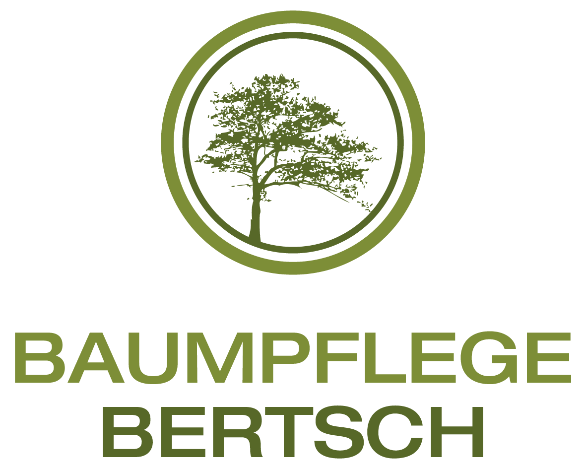 Baumpflege-Bertsch